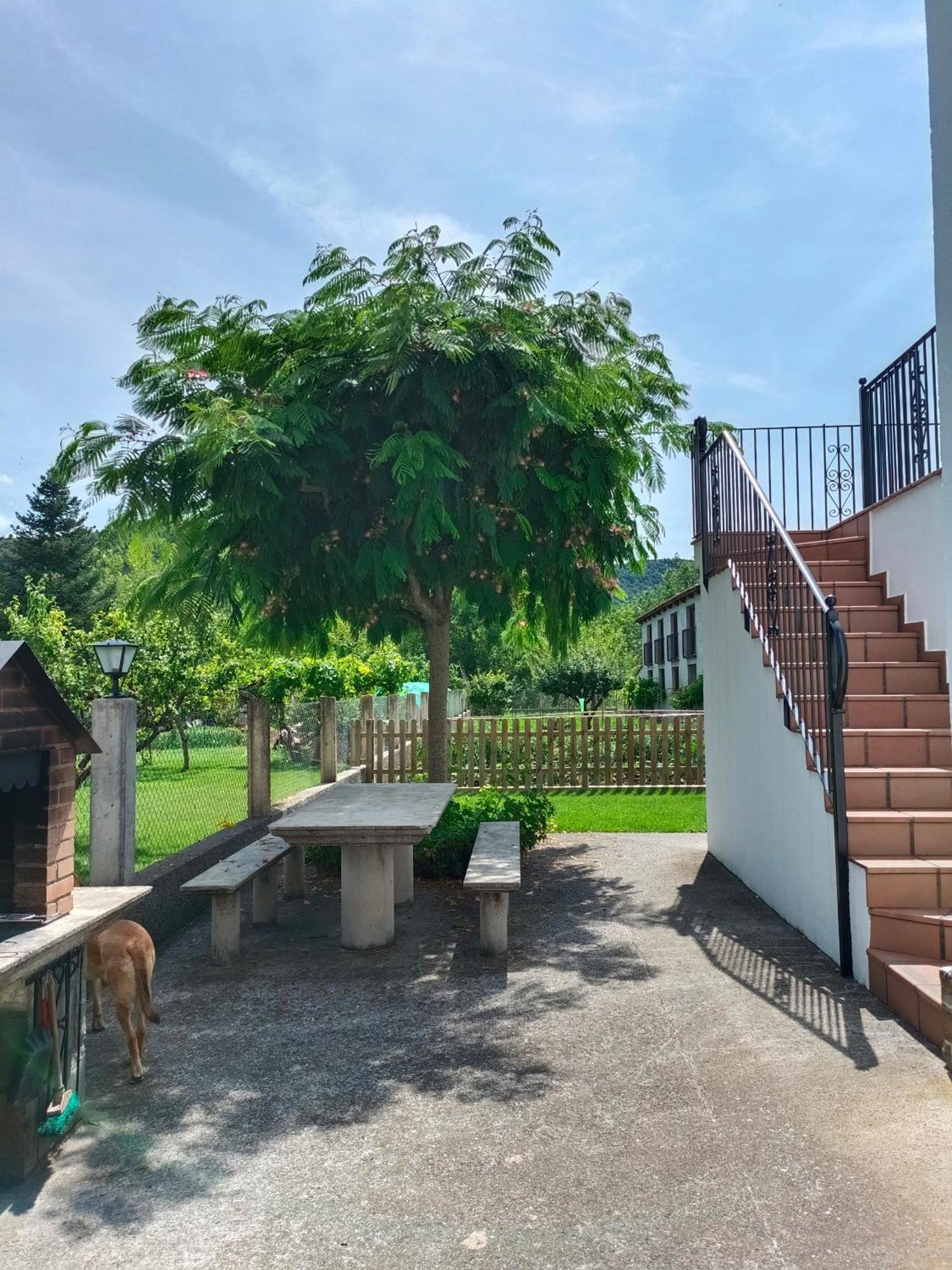 Apartamento Rural Casa Paco Con Jacuzzi Exterior Y Barbacoa アインサ エクステリア 写真